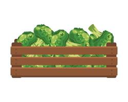 houten doos met broccoli. gezond voedsel, groenten, landbouw illustratie, vector