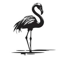 flamingo, silhouetten flamingo, zwart en wit flamingo vector