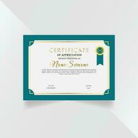 professioneel en premie certificaat sjabloon ontwerp vector