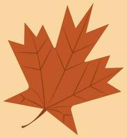 herfst blad, oranje blad, gedaald blad met oranje kleur, geschikt voor herfst advertenties en posters en sociaal media en spandoeken, herfst blad vector illustratie, Canada teken en label en logo