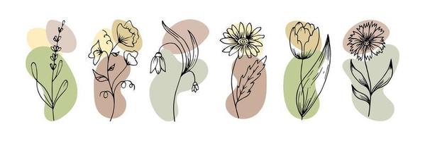 hand- getrokken schets bloemen in tekening stijl met abstract vlekken toegevoegd, set. pictogrammen, vector