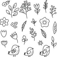reeks van illustraties inclusief verschillend bladeren bomen bloemen vogels. lijn kunst van Woud flora schets botanisch tekening voor kleuren. vector illustraties van planten en bloemen. pictogrammen van planten, flowe