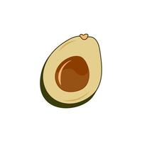 avocado fruit. besnoeiing in voor de helft avocado met pit. tekenfilm vector illustratie.