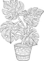 hand- getrokken kleur bladzijde voor kinderen en volwassenen. ingemaakt fabriek monstera. mooi tekening met patronen en klein details. kleur afbeeldingen. vector