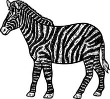 zebra dier kleur bladzijde voor volwassenen vector