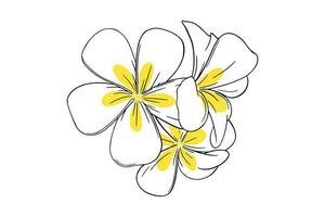 frangipani of plumeria tropisch bloem. geel en wit frangipani geïsoleerd in wit achtergrond. vector illustratie