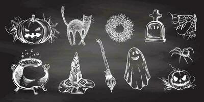 reeks van halloween elementen in schetsen stijl. hand- getrokken vector wees hoed, pompoen, kat, ketel, bezem, spin, spin web en geest geïsoleerd Aan schoolbord achtergrond.