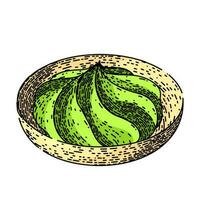 wasabi groen schetsen hand- getrokken vector
