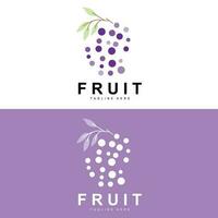 druif logo, boerderij fruit vector, vers Purper fruit ontwerp, druif Product icoon, fruit winkel vector