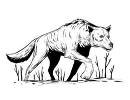 wolf of wild hond stalken gedurende winter bekeken van laag hoek comics stijl tekening vector