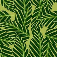 decoratief tropisch palm bladeren naadloos patroon. oerwoud blad behang. exotisch botanisch textuur. vector