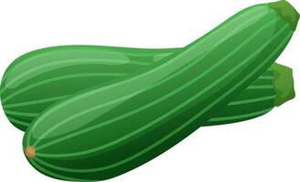 groen courgette squash groente schetsen vector