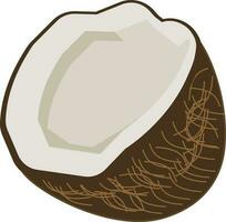 kokosnoot illustratie vector