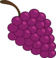 druiven illustratie vector