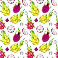 allemaal kleuren exotisch cactus naadloos patroon. heerlijk donker roze plakjes van pitaya met zaden. geel draak fruit behang. zoet roze biologisch pitahaya achtergrond vector