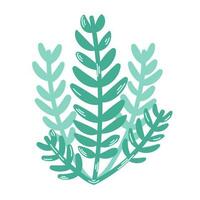 groen algen bladeren. botanisch illustratie van gekleurde zeewier. modern hand- getrokken vlak illustratie Aan wit achtergrond. vector