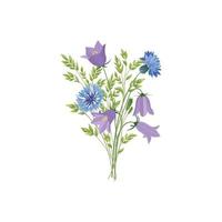 bloemen geïsoleerd. bloemen zomerboeket. weideaarddecor met wilde boshyacinten en blauwe korenbloemen vector