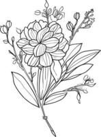 reeks van botanisch bloem tekeningen, botanisch lijn kunst. wilde bloemen botanisch lijn kunst, wijnoogst botanisch lijn tekening, botanisch illustratie botanisch lijn tekening, gemakkelijk botanisch lijn tekening. vector