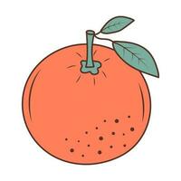 oranje met bladeren. sappig fruit. hand- getrokken illustratie in tekening stijl. vector