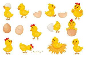tekenfilm baby kippen, Pasen schattig weinig kuikens. grappig pasgeboren kip in eierschaal, kuiken uitkomen van ei, boerderij vogel dier vector reeks