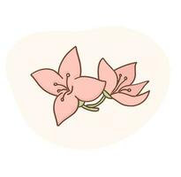 vanille bloemen vector illustratie. roze bloemen.