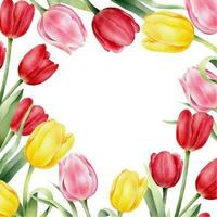 kader met rood waterverf tulpen en groen blad. hand- getrokken waterverf illustratie vector
