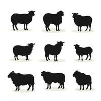 reeks schapen silhouet vector illustratie