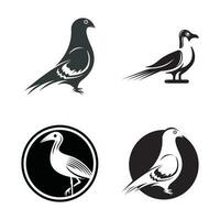 elegant vogel logo icoon ontwerp en symbool vector