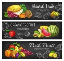 natuurlijk vers fruit vector schetsen banners reeks