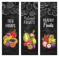 exotisch schetsen fruit vector schoolbord banners reeks