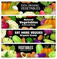 groenten vector spandoeken, tekenfilm rauw groenten