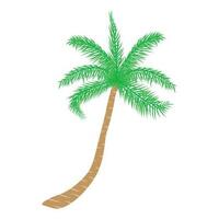 tropisch palm boom. vector illustratie