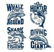 t-shirt prints met haai, moordenaar en blauw walvissen vector