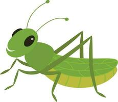 sprinkhaan illustratie insect vector