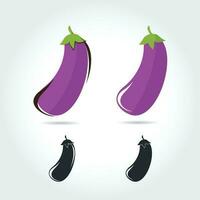 aubergine fruit. vector illustratie