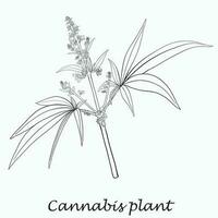 eenvoud cannabisplant uit de vrije hand tekenen plat ontwerp. vector