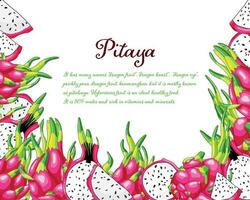 draak fruit kader. exotisch pitaya vector illustratie. gezond pitahaya ontwerp van heerlijk stukken. exotisch sappig fruit