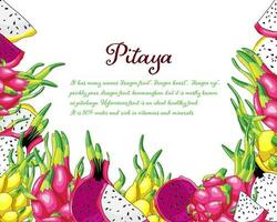 draak fruit kader. exotisch pitaya vector illustratie. gezond geel pitahaya ontwerp van heerlijk stukken. exotisch roze sappig fruit