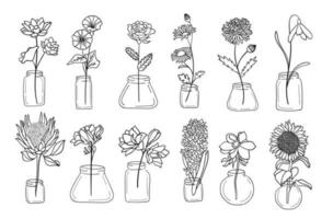 realistisch bloem pot lijn kunst set. perfect voor illustraties. vector