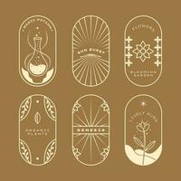 boho hemel- magie mystiek illustratie vector