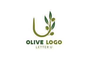 olijf- logo ontwerp met brief u concept, natuurlijk groen olijf- vector illustratie