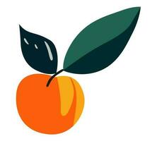 gemakkelijk tekening appel fruit. vector illustratie