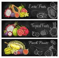 exotisch fruit en tropisch BES schoolbord banners vector