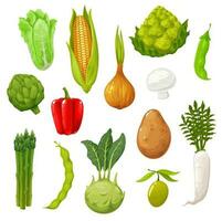 boerderij tekenfilm groenten, biologisch groenten oogst vector