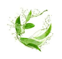 groen water plons met thee bladeren, kruiden drinken vector
