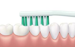 tanden en tandvlees poetsen tandheelkundig hygiëne routine- vector