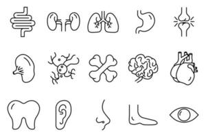 menselijk organen icoon reeks illustratie. ingewanden, nieren, longen, maag, gewrichten, milt, brein, lever, neus- en anderen. lijn icoon stijl. gemakkelijk vector ontwerp bewerkbare