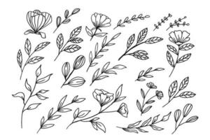 een verzameling van hand- getrokken bladeren en bloem decoratief bloemen element vector