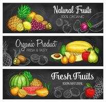 tropisch fruit en BES schoolbord banners vector