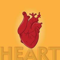 rood menselijk hart illustratie in tekenfilm hand- getrokken in geel achtergrond voor Gezondheid sjabloon ontwerp vector